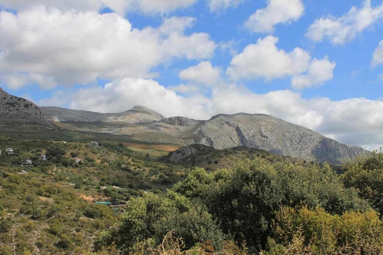 Casa Rural El Chaparro เอลชอร์โร ภายนอก รูปภาพ