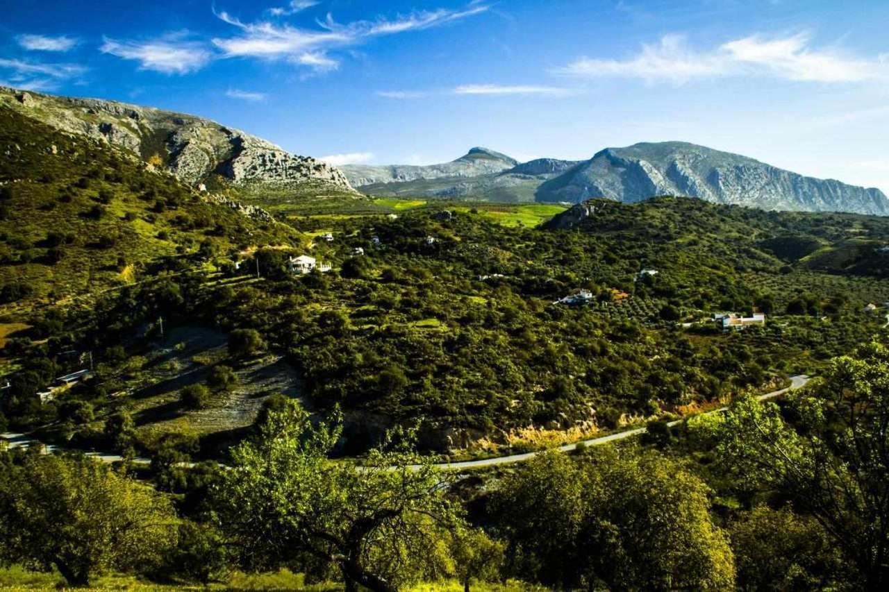 Casa Rural El Chaparro เอลชอร์โร ภายนอก รูปภาพ