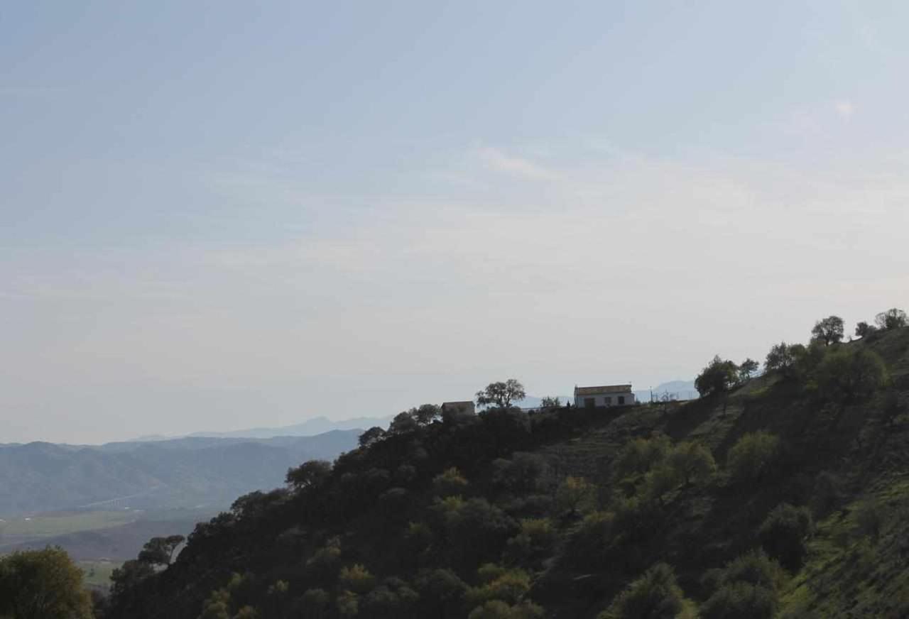 Casa Rural El Chaparro เอลชอร์โร ภายนอก รูปภาพ